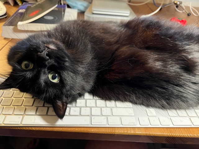 My Solution to Writer’s Block