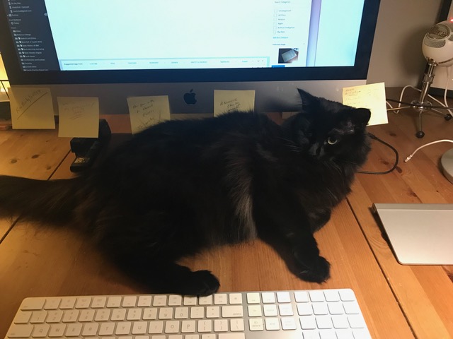 My Daily Blogging: Mindless (Mostly) Work + Creative Work