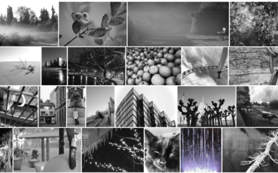 Starting a New Photography Class!