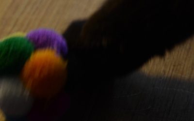 A Trick For Blogging Every Single Day