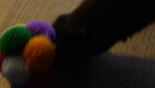 A Trick For Blogging Every Single Day