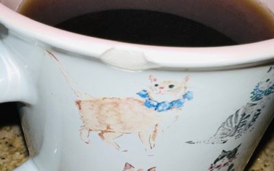 On Things With Flaws