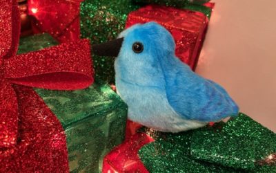 Boxing Up Twitter For the Holidays