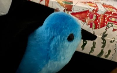 My Holidays Twitter-Sleep: An Update