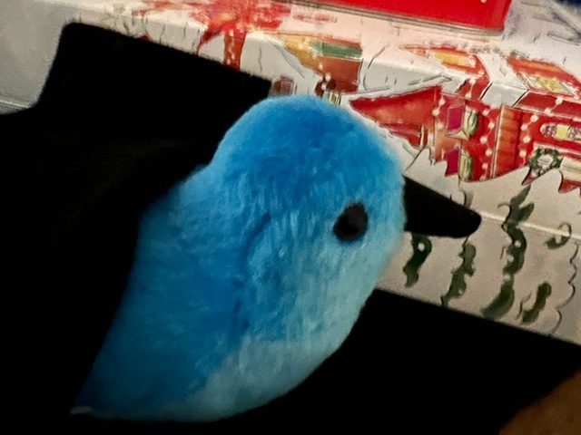 My Holidays Twitter-Sleep: An Update