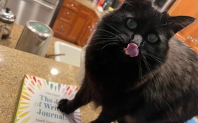 A Book Review: The Joy of Writing Journal: Spark Your Creativity in 8 Minutes a Day