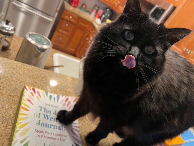 A Book Review: The Joy of Writing Journal: Spark Your Creativity in 8 Minutes a Day