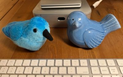 Pivoting My Ikigai Means Shifting My Twitter Focus