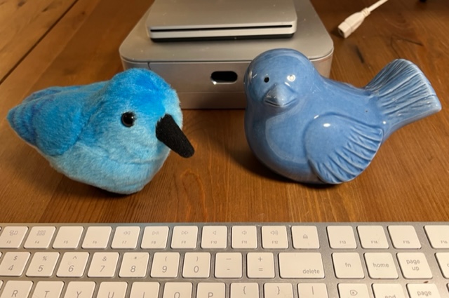 Pivoting My Ikigai Means Shifting My Twitter Focus