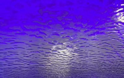 Seeking Beauty, And You Shall Find