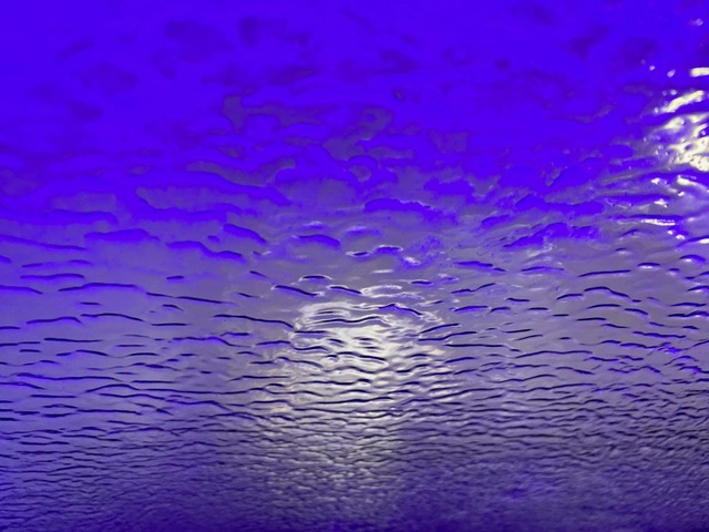 Seeking Beauty, And You Shall Find