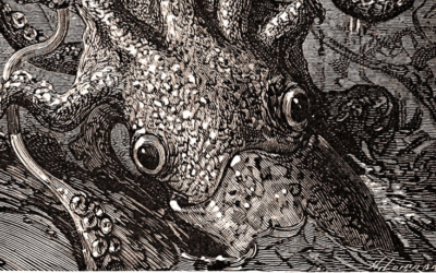 Releasing The Inner Kraken