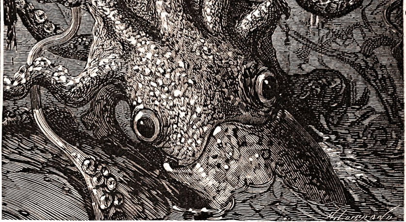 Releasing The Inner Kraken