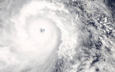 Professionals: Avoid Tweet-storms at All Costs