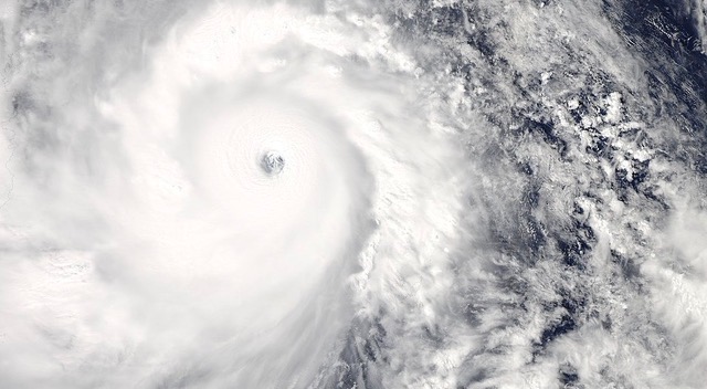 Professionals: Avoid Tweet-storms at All Costs