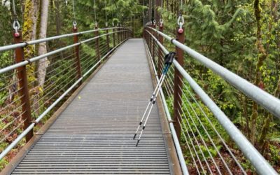 Hip Surgery Update: It’s Hiking Time!