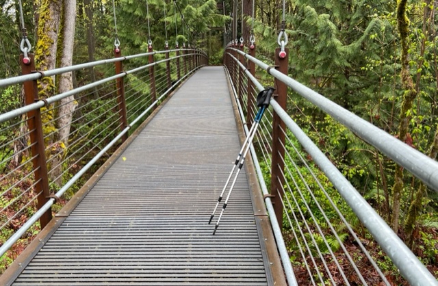 Hip Surgery Update: It’s Hiking Time!