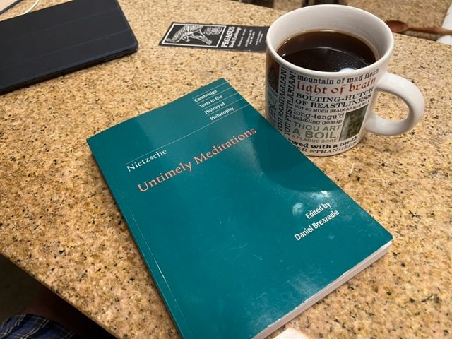 Why I’m Reading Untimely Meditations (Nietzsche)
