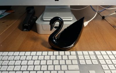 MY Black Swan Writing Totem