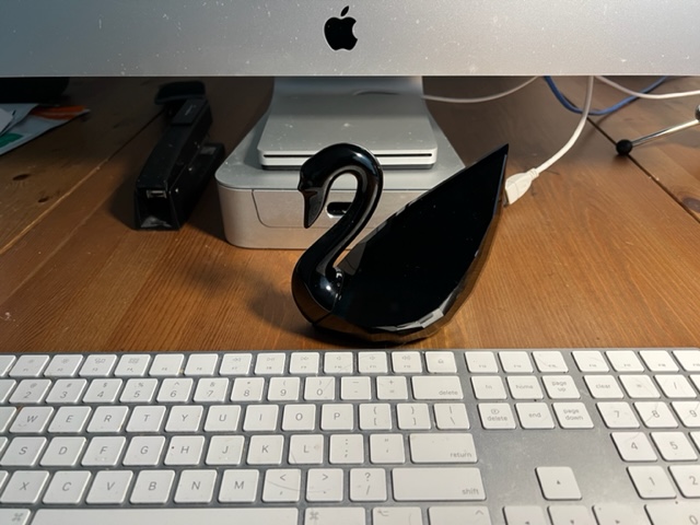 MY Black Swan Writing Totem