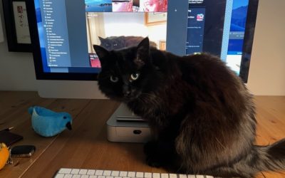 My Writing Companion