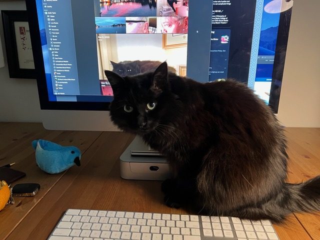 My Writing Companion