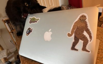 Laptop Stickers